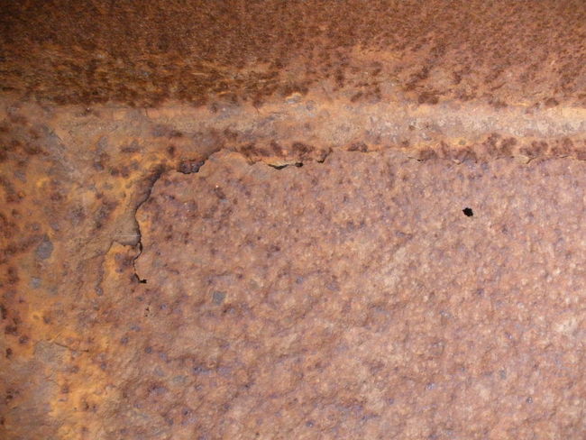 P1130694