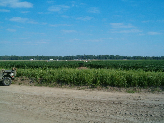 Picture_109