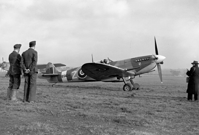 Polish_Spitfire