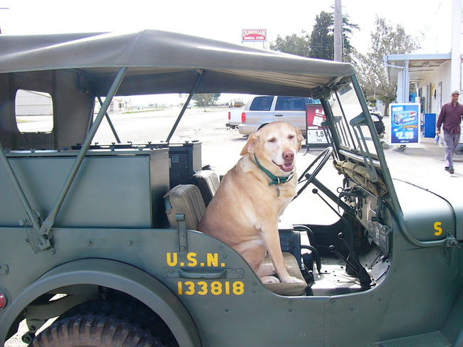Sadie_at_the_post_office_006
