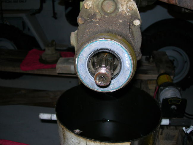 Son_of_Junkyard_Dog_0091