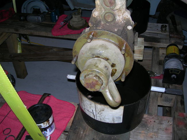 Son_of_Junkyard_Dog_010
