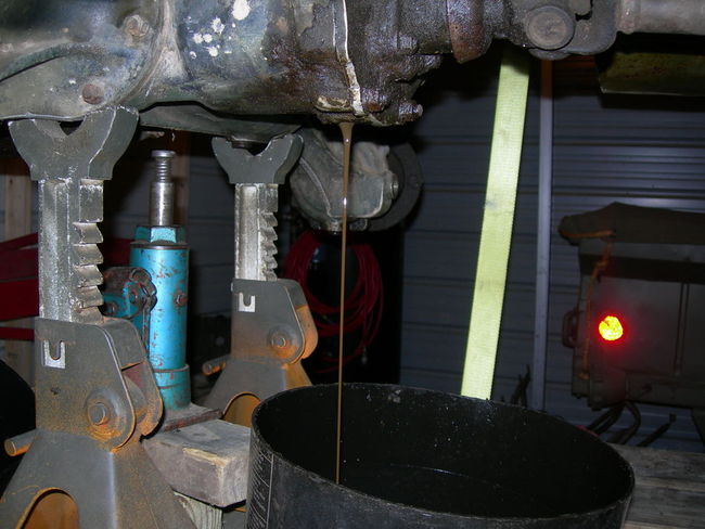 Son_of_Junkyard_Dog_016