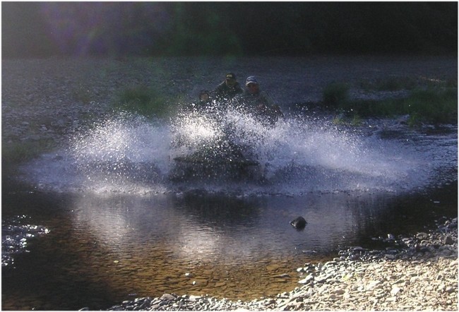 Splash
