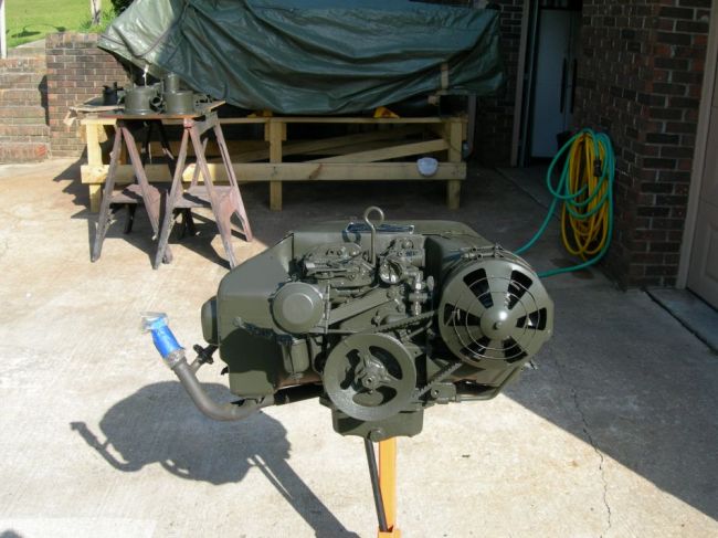 Tony_s_Mule_019