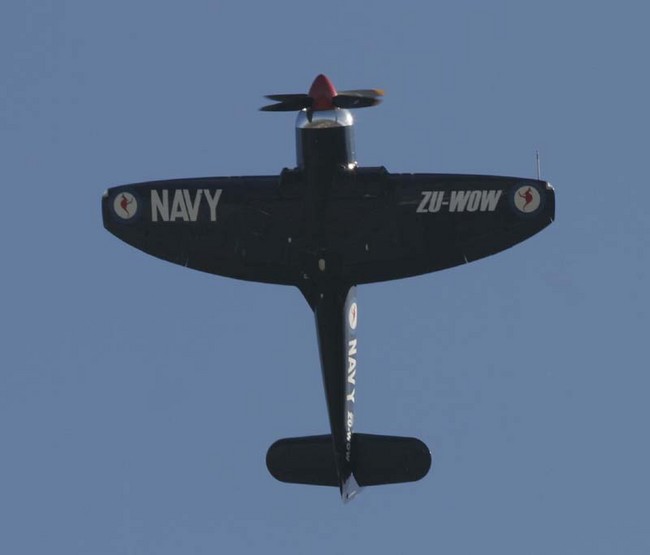 Sea Fury ZU-WOW