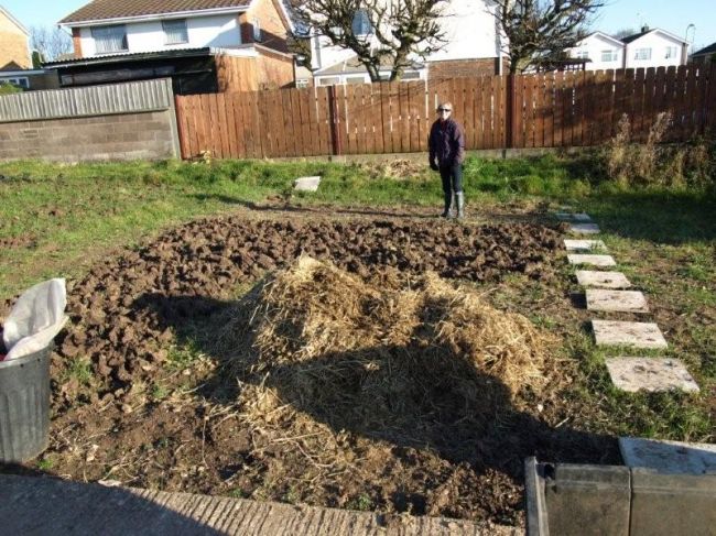 allotment