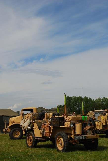 beltring_2007_057