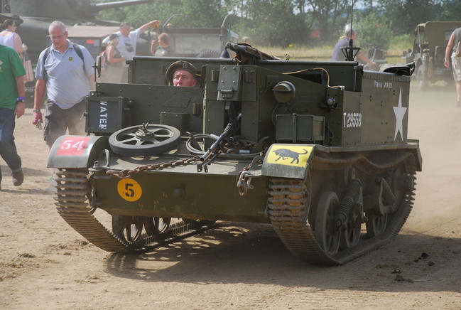 beltring_2007_070
