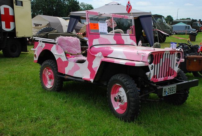 beltring_2007_114