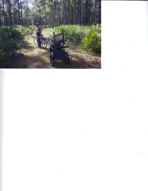 bpbike