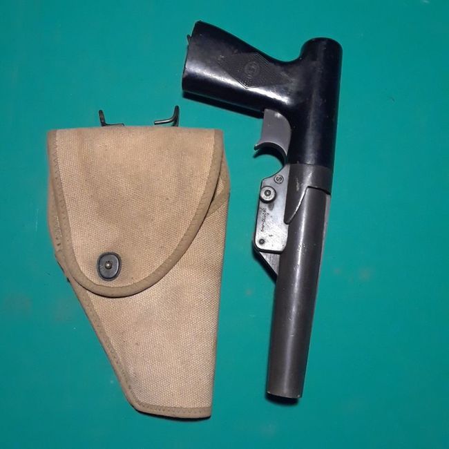 fg1