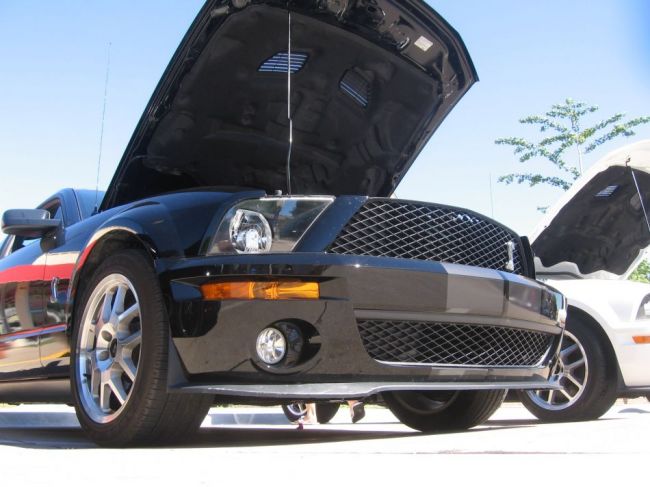 low_shot_cobra
