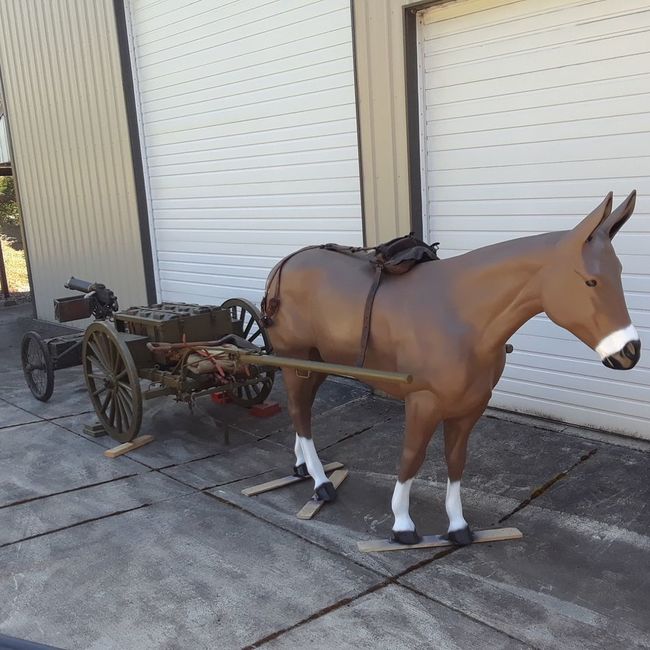 mule11