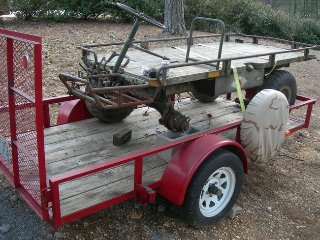 mule_0012