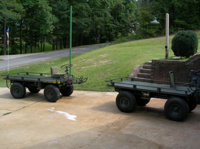 mule_002