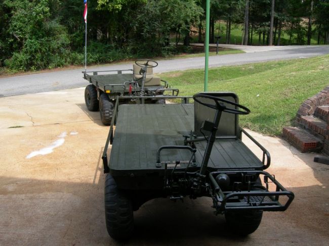mule_004