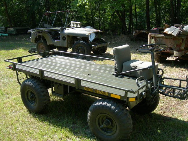 mule_0053