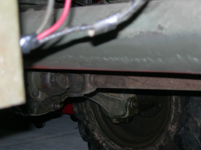 mule_0101