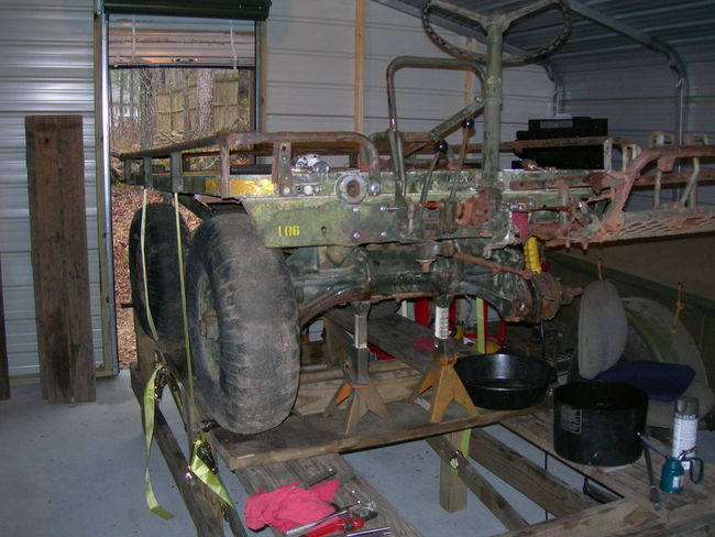 mule_032