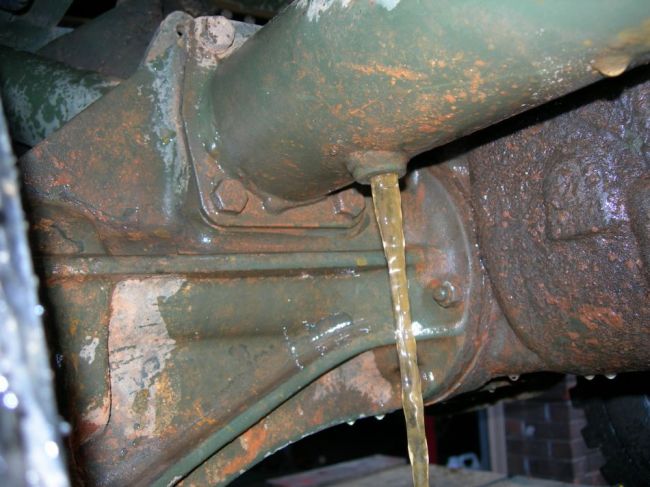 mule_repairs_002