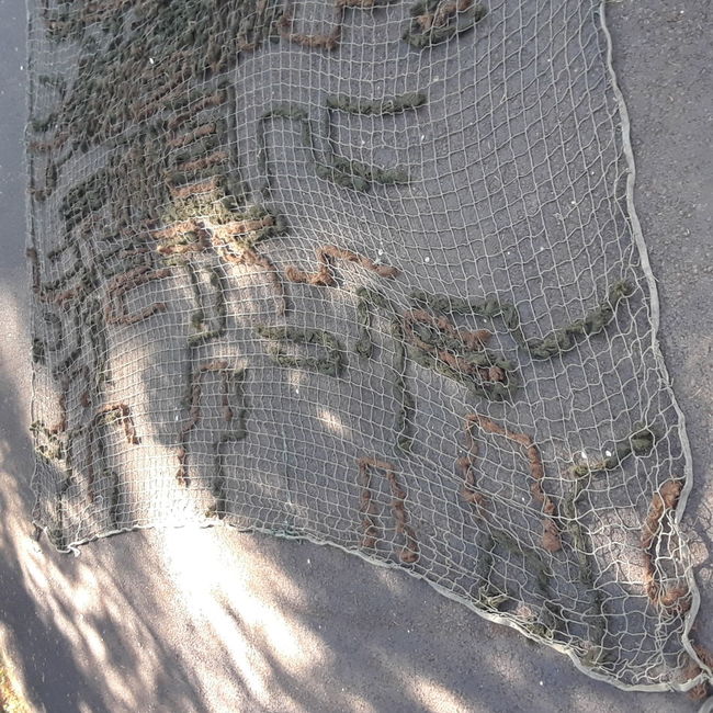 net3