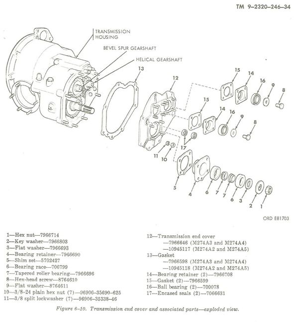 pinion_21