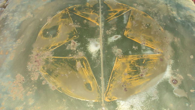 MB 20505263