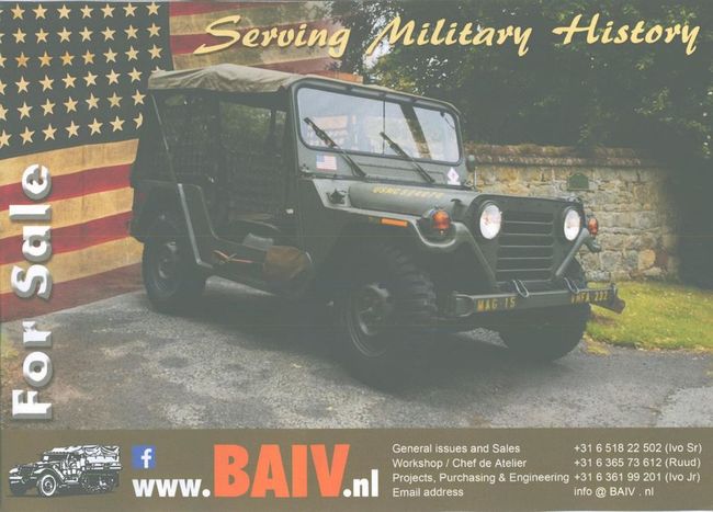 s-BAIV_leaflet_pg-1