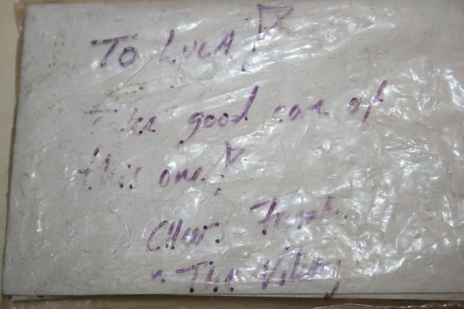 the_viking_envelope