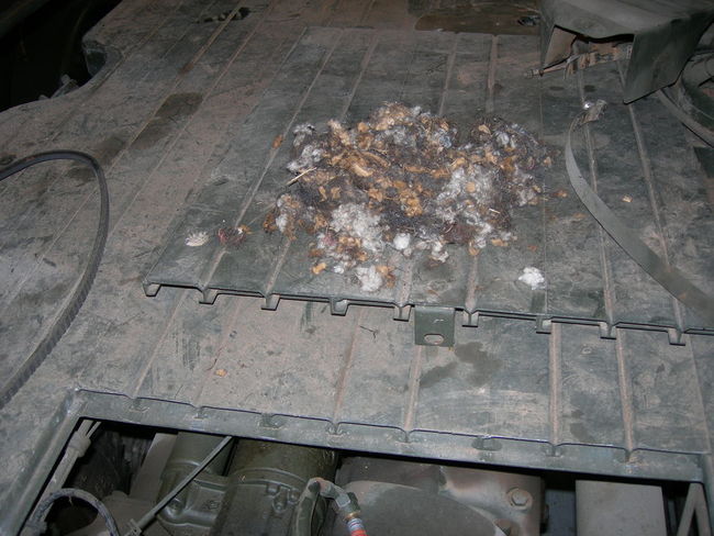 tow_bar_pins_013