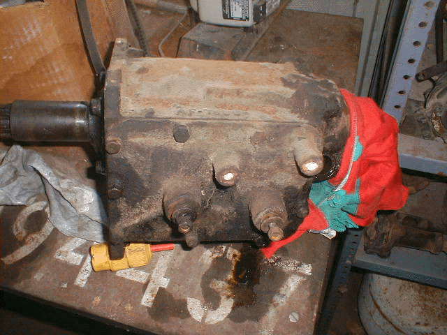 t11