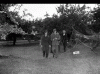 05.gif