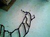 050807_16501.jpg
