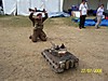 100_0168.JPG