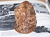 100_49341.jpg