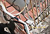 100_5136.jpg