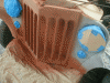 142.gif
