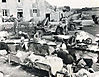 1944-09-18-french-women-jeeps1.jpg