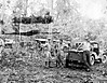 1945.jpg