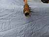 20200801_125646.jpg