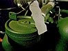 30_WT_oil_tag_002.jpg