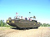 4th_of_July-6.jpg