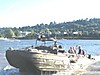 4th_of_July-7.jpg