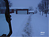 8_SNOW_copy.jpg