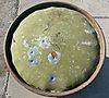 AAF_55_Gallon_Drum_03.jpg