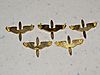 AAF_Insignia_02.JPG