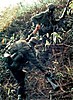 AR_15_M16_retro_pic.jpg