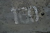 Alftrack_035.jpg