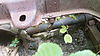 Captured_2011-7-20_00000.JPG